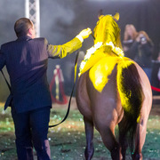 Rodrigues Training - 8th Annual Farm Tour