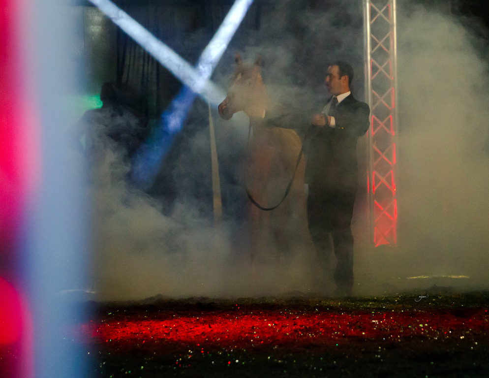 Rodrigues Training - 8th Annual Farm Tour