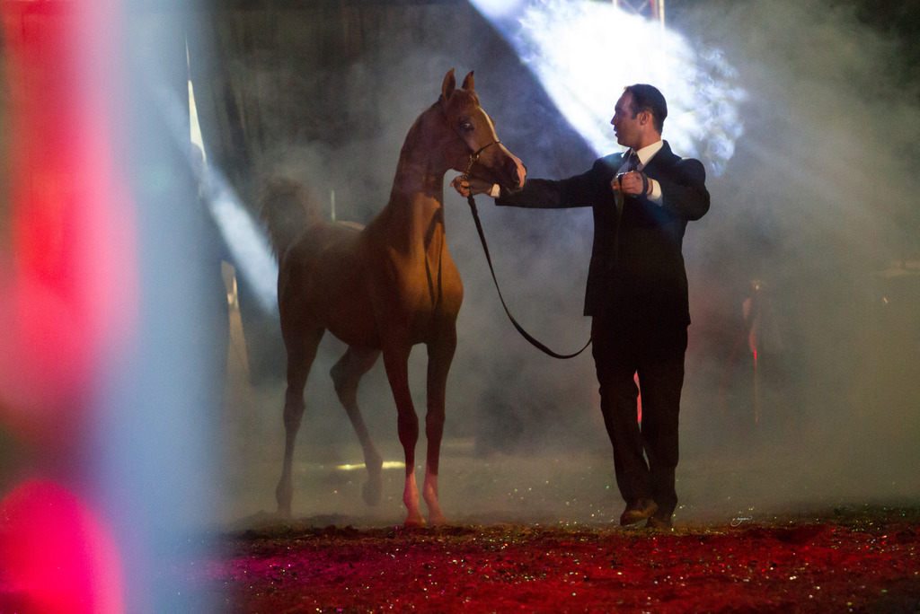 Rodrigues Training - 8th Annual Farm Tour