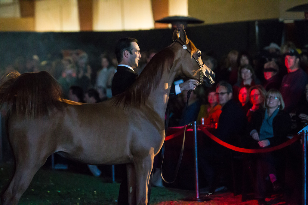 Rodrigues Training - 8th Annual Farm Tour