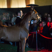 Rodrigues Training - 8th Annual Farm Tour