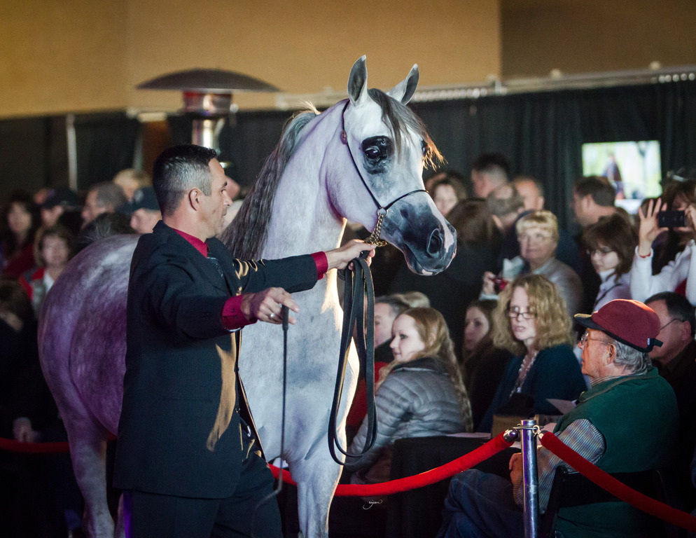 Rodrigues Training - 8th Annual Farm Tour