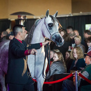 Rodrigues Training - 8th Annual Farm Tour