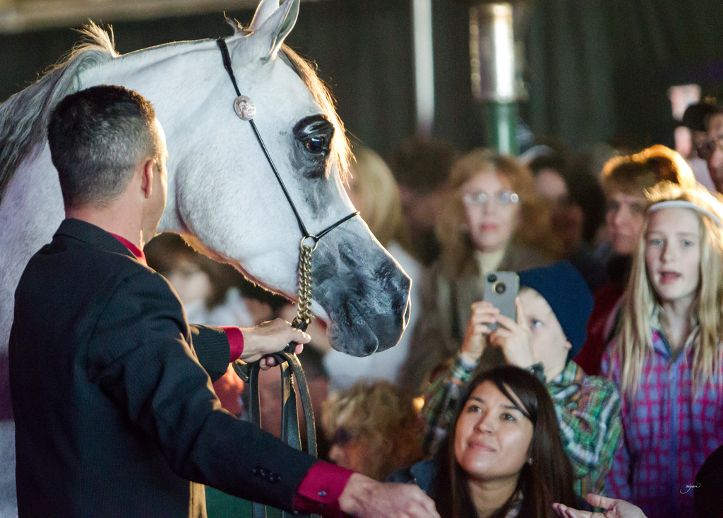 Rodrigues Training - 8th Annual Farm Tour