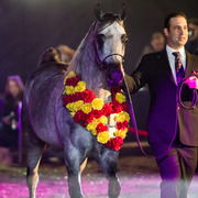 Rodrigues Training - 8th Annual Farm Tour