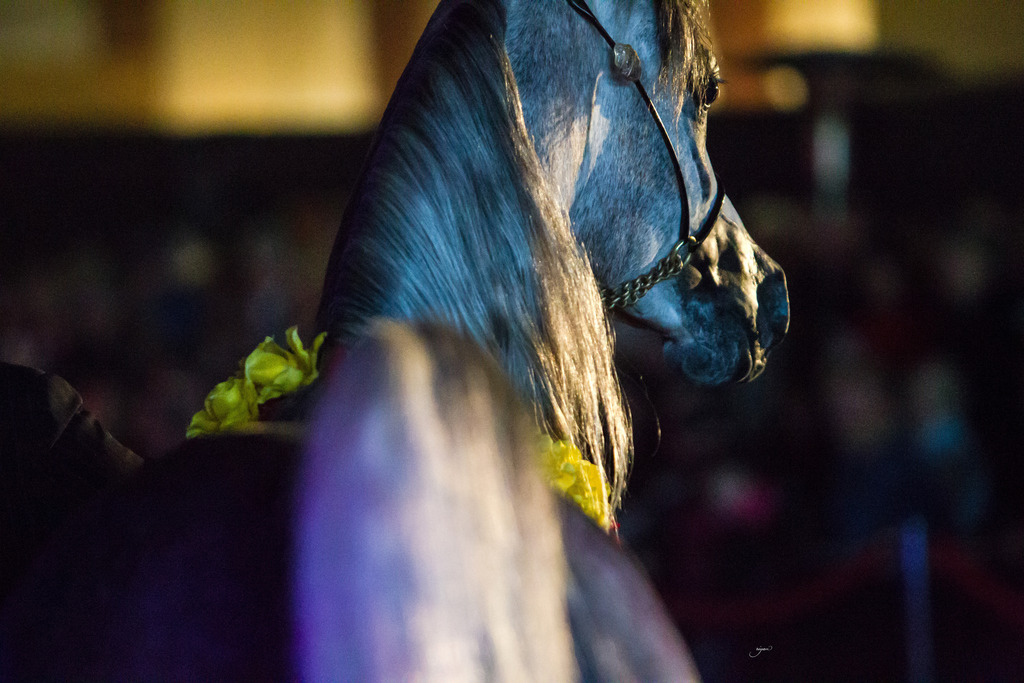 Rodrigues Training - 8th Annual Farm Tour