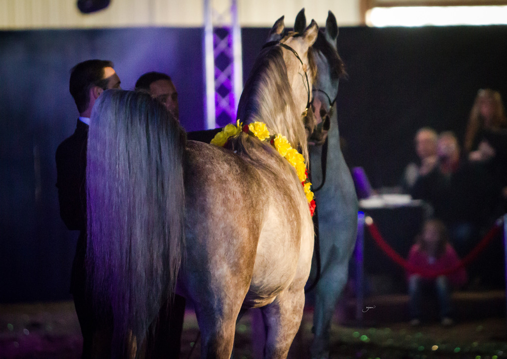 Rodrigues Training - 8th Annual Farm Tour