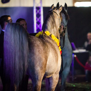 Rodrigues Training - 8th Annual Farm Tour