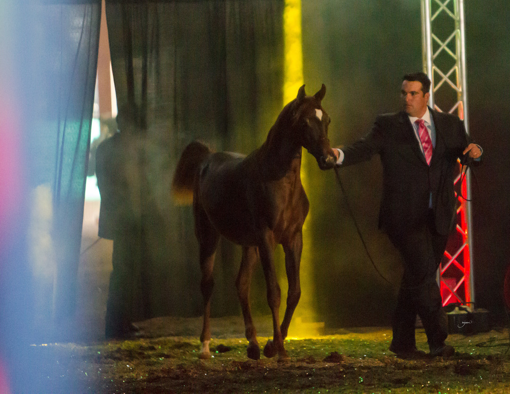 Rodrigues Training - 8th Annual Farm Tour