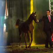 Rodrigues Training - 8th Annual Farm Tour