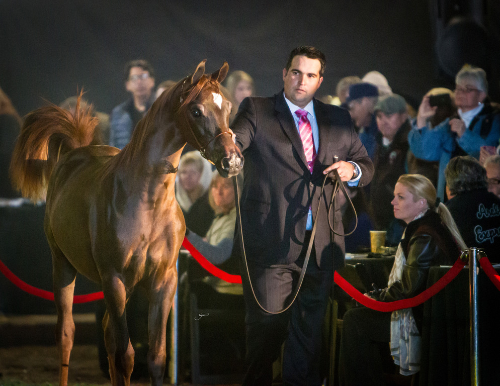 Rodrigues Training - 8th Annual Farm Tour