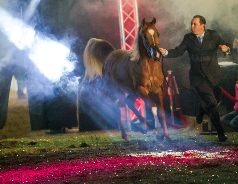 Rodrigues Training - 8th Annual Farm Tour