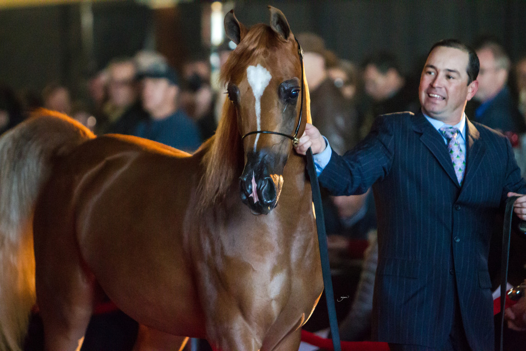 Rodrigues Training - 8th Annual Farm Tour