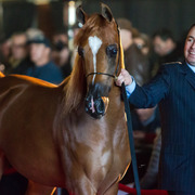 Rodrigues Training - 8th Annual Farm Tour