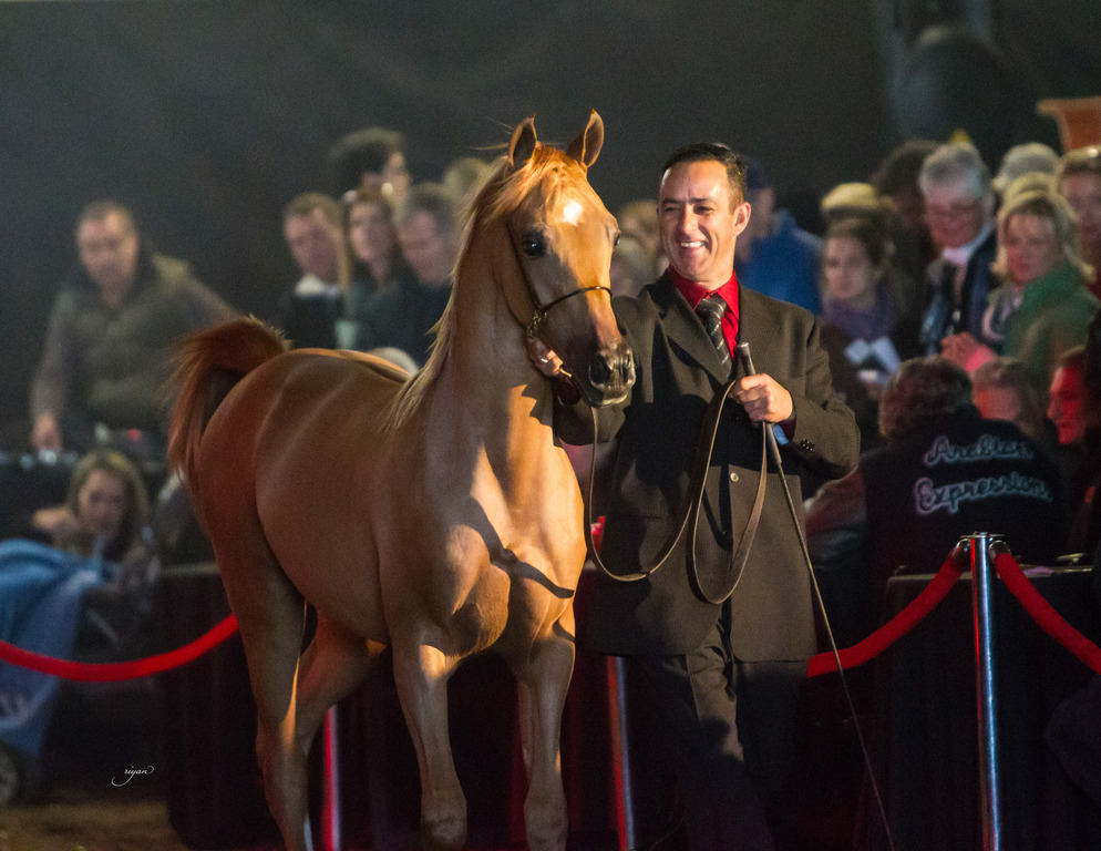 Rodrigues Training - 8th Annual Farm Tour