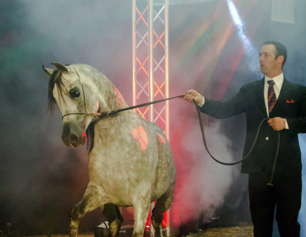 Rodrigues Training - 8th Annual Farm Tour