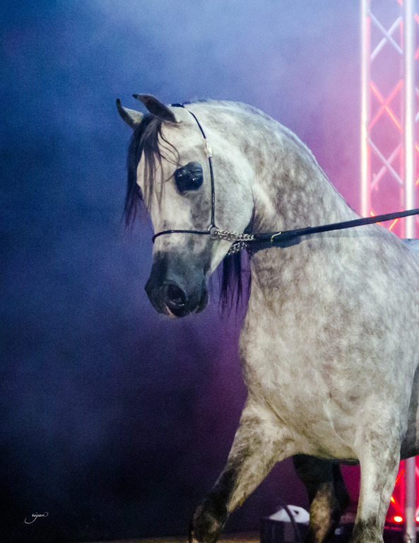 Rodrigues Training - 8th Annual Farm Tour