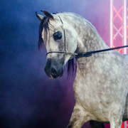 Rodrigues Training - 8th Annual Farm Tour