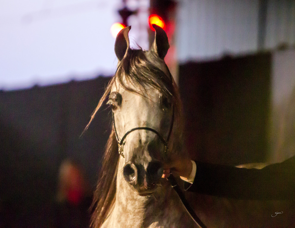 Rodrigues Training - 8th Annual Farm Tour