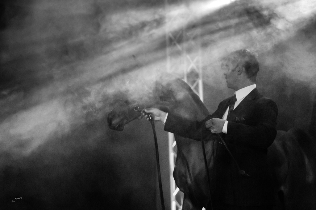 Rodrigues Training - 8th Annual Farm Tour