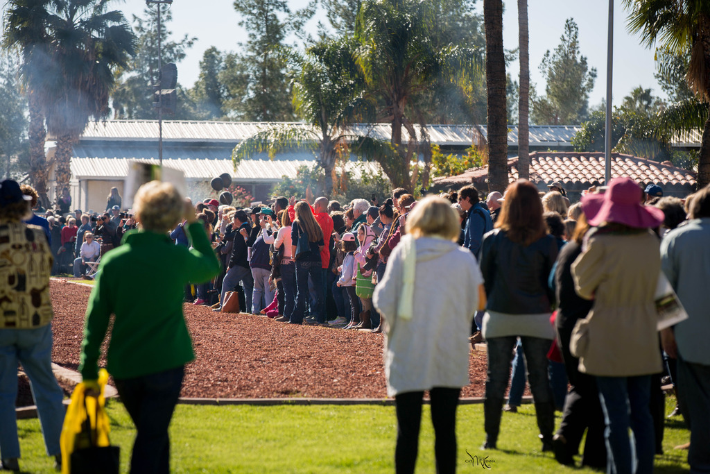 Photo by Cat McKenna