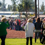 Photo by Cat McKenna