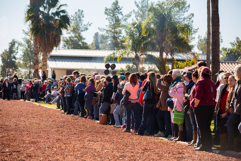 Photo by Cat McKenna