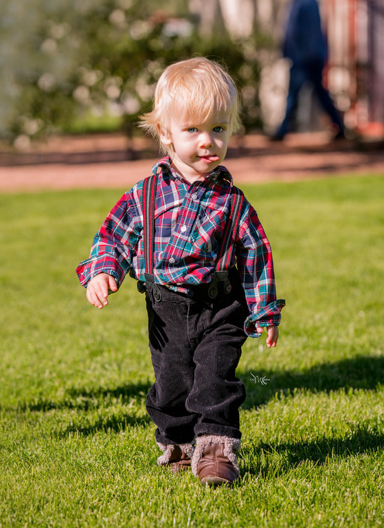 Photo by Cat McKenna