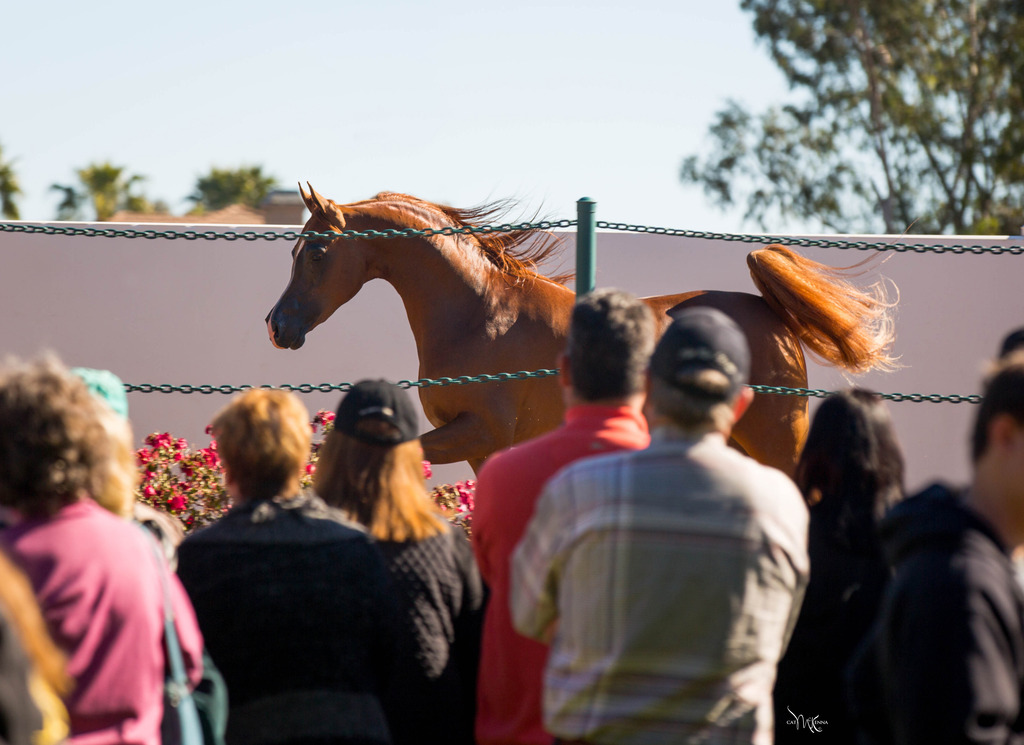 Photo by Cat McKenna