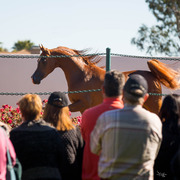 Photo by Cat McKenna