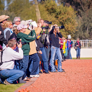 Photo by Cat McKenna