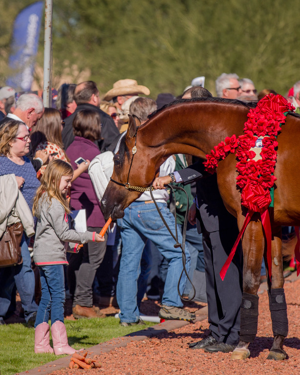 Photo by Cat McKenna