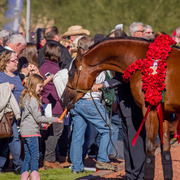 Photo by Cat McKenna