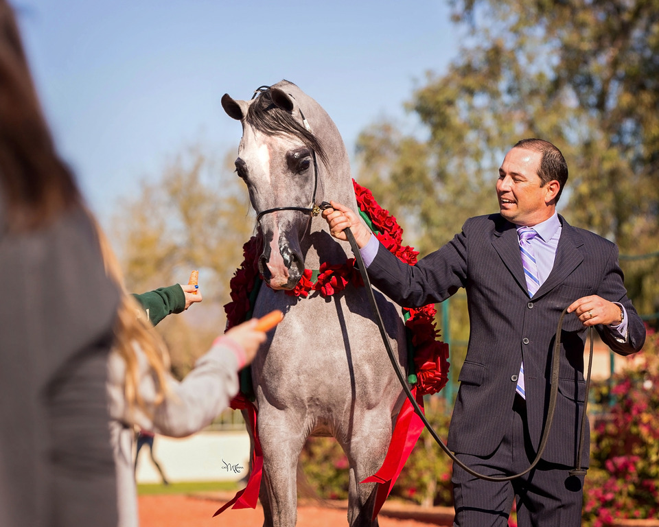 Photo by Cat McKenna