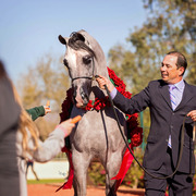 Photo by Cat McKenna