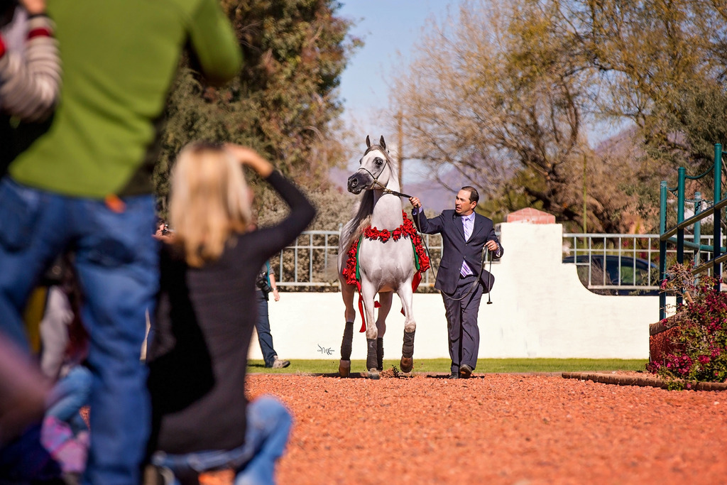 Photo by Cat McKenna