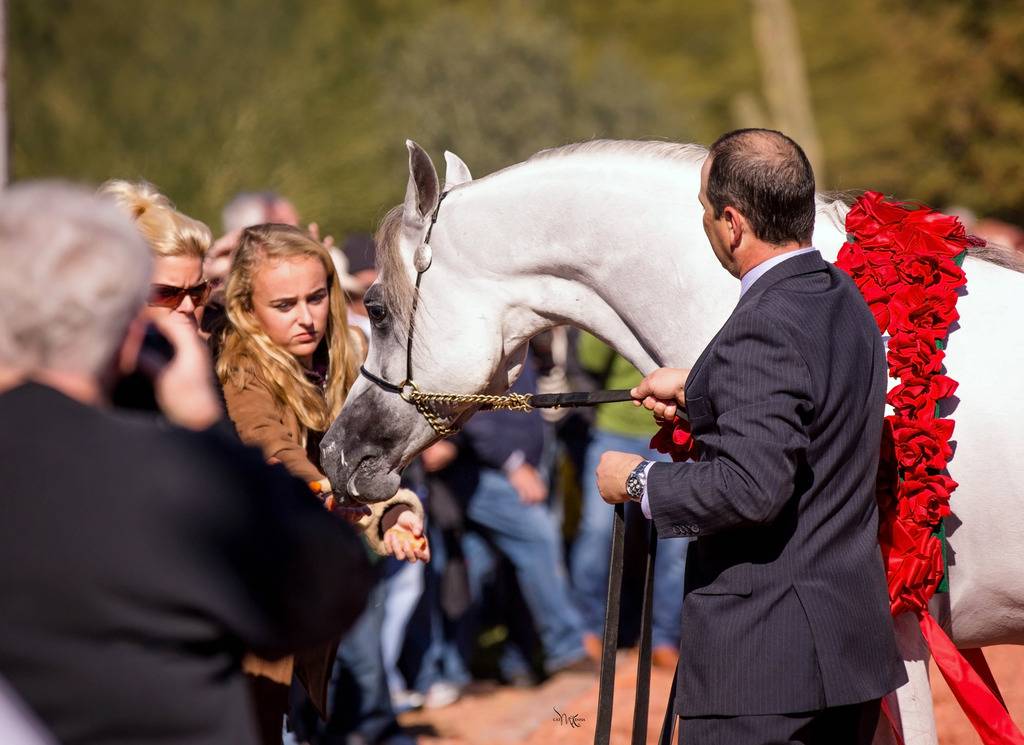 Photo by Cat McKenna