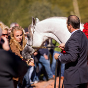 Photo by Cat McKenna