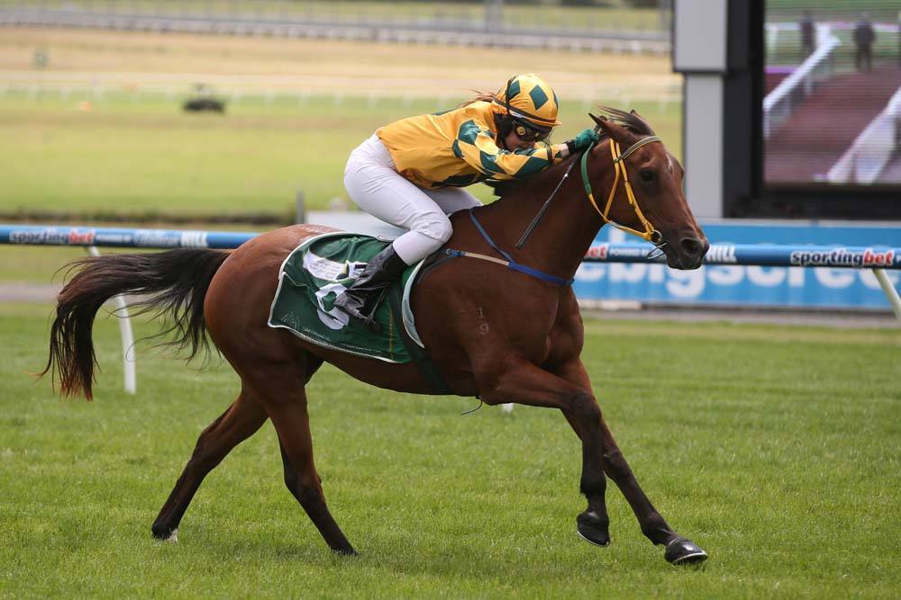 The 2015 HH Sheikh Mansoor Global Arabian Flat Racing Festival