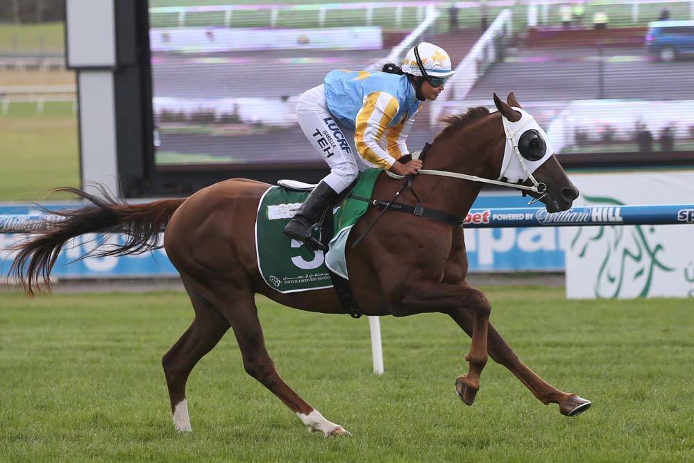 The 2015 HH Sheikh Mansoor Global Arabian Flat Racing Festival