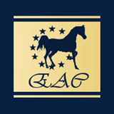 European Amateur Cup