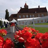  West Coast Cup Int. B - ECAHO Arabian Horse Show