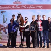 Scottsdale Arabian Horse Show for Friday, February 13, 2015