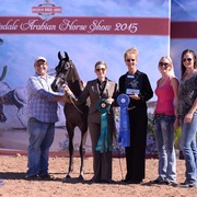 Scottsdale Arabian Horse Show News for Saturday, February 14, 2015