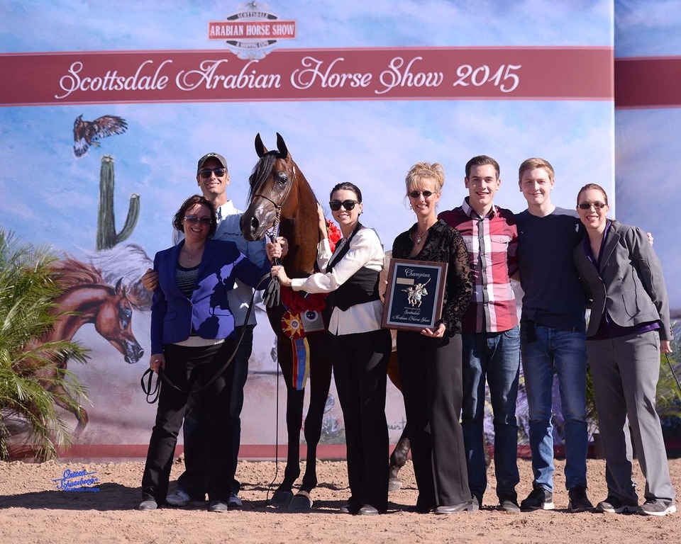 Scottsdale Arabian Horse Show News for Saturday, February 14, 2015