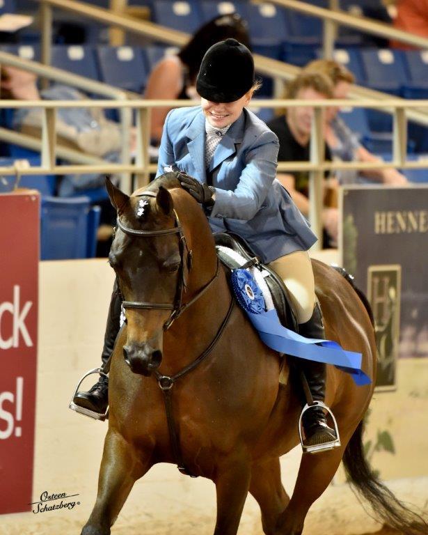 Scottsdale Arabian Horse Show News for Sunday, February 15, 2015