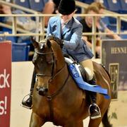 Scottsdale Arabian Horse Show News for Sunday, February 15, 2015