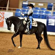 Scottsdale Arabian Horse Show News for Sunday, February 15, 2015