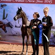 Scottsdale Arabian Horse Show News for Sunday, February 15, 2015