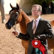 Scottsdale Arabian Horse Show News for Sunday, February 15, 2015